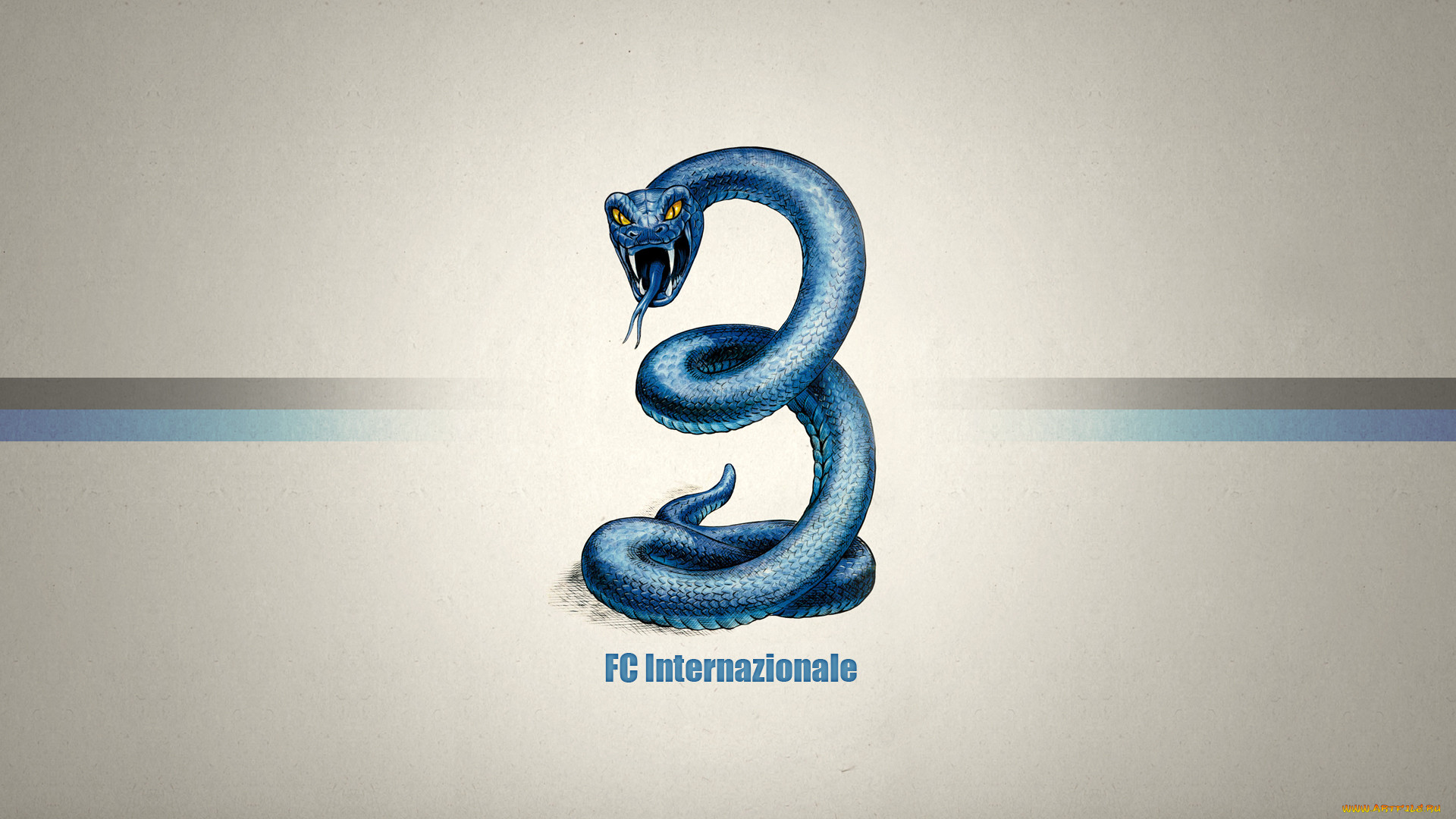 , , , , , internazionale